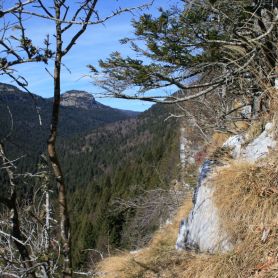 Primavera in Val di Nos