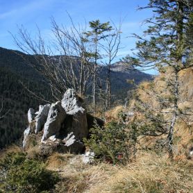 Primavera in Val di Nos