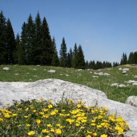 Località Campomuletto