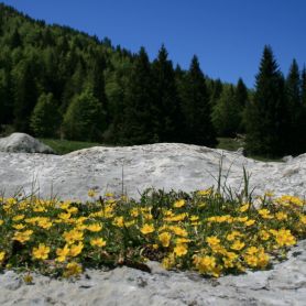 Località Campomuletto