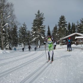 Stefano martello in azione